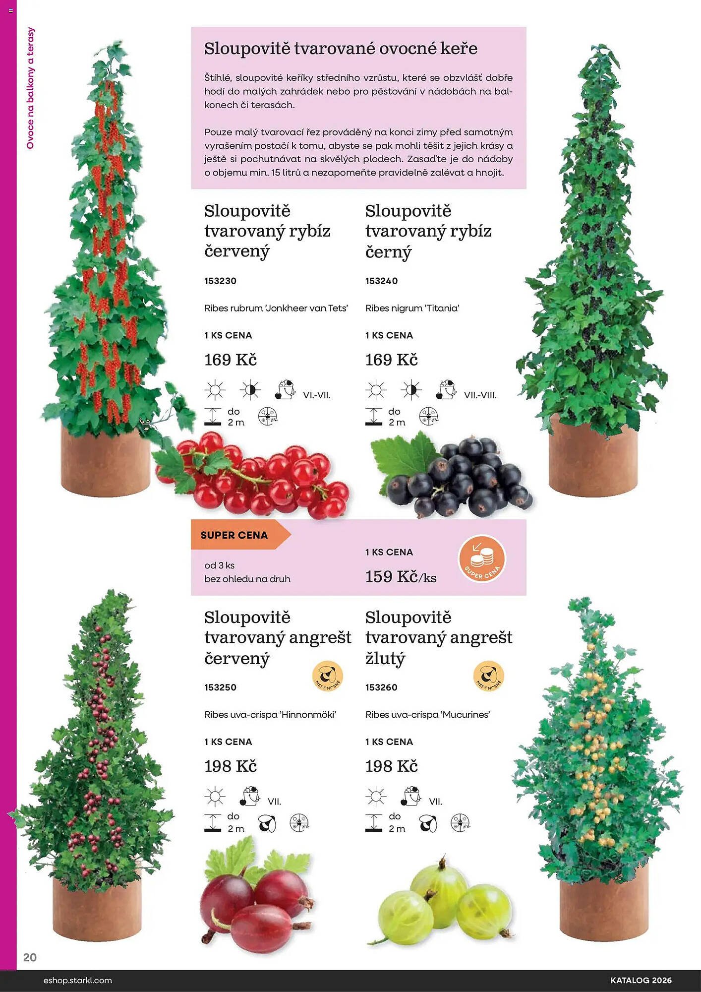 Starkl katalog (2026-02-25 - 2026-12-31)