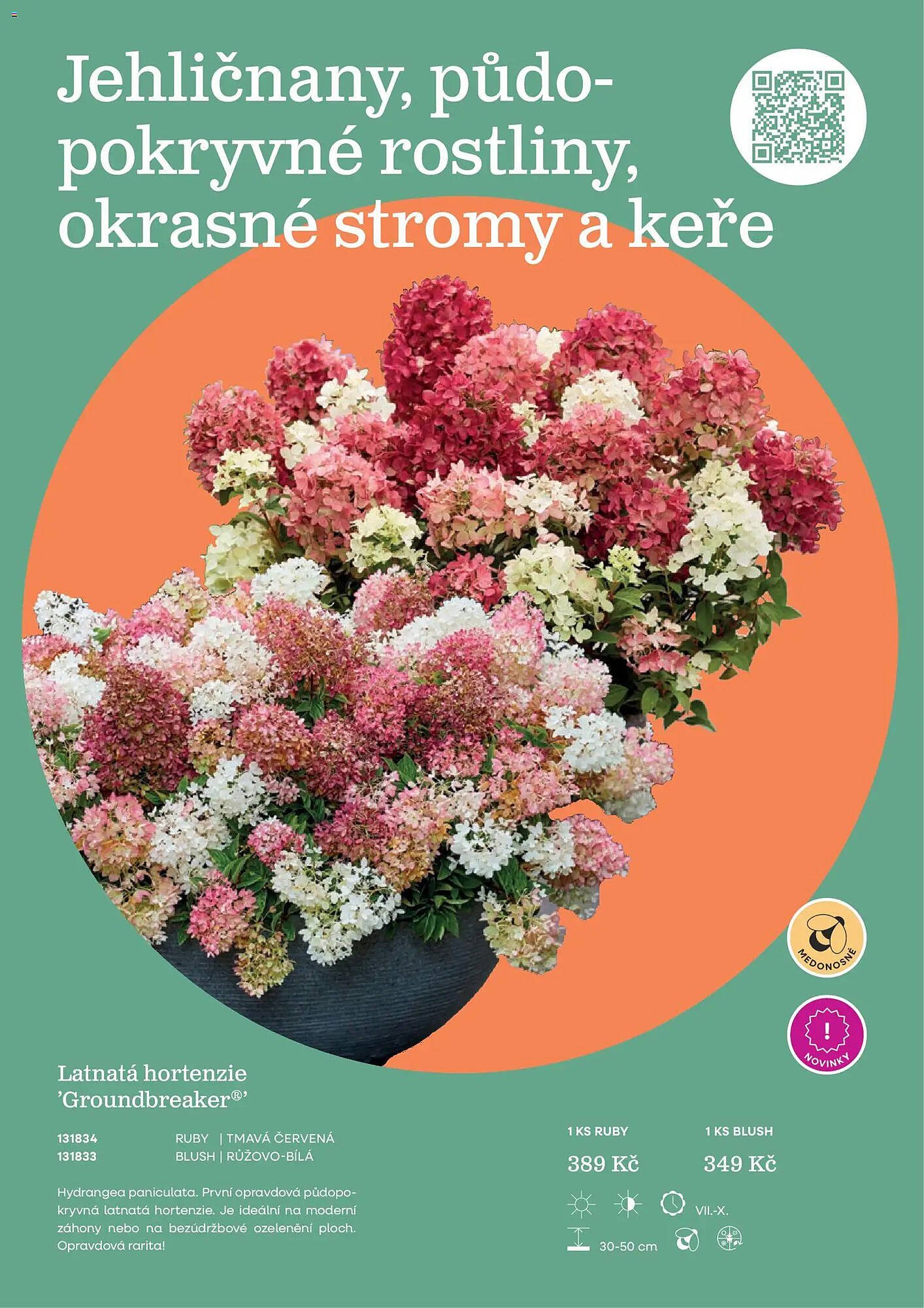 Starkl katalog (2026-02-25 - 2026-12-31)