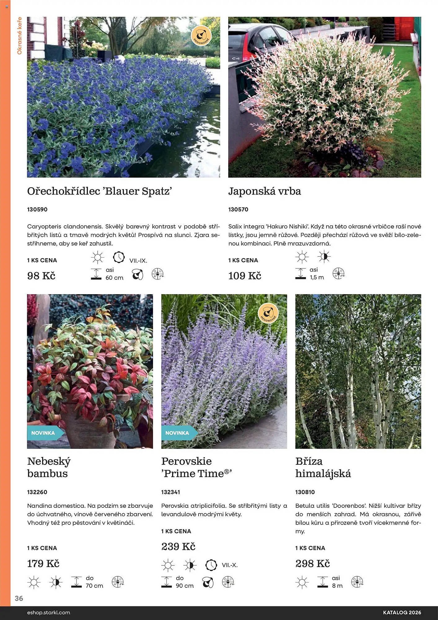 Starkl katalog (2026-02-25 - 2026-12-31)