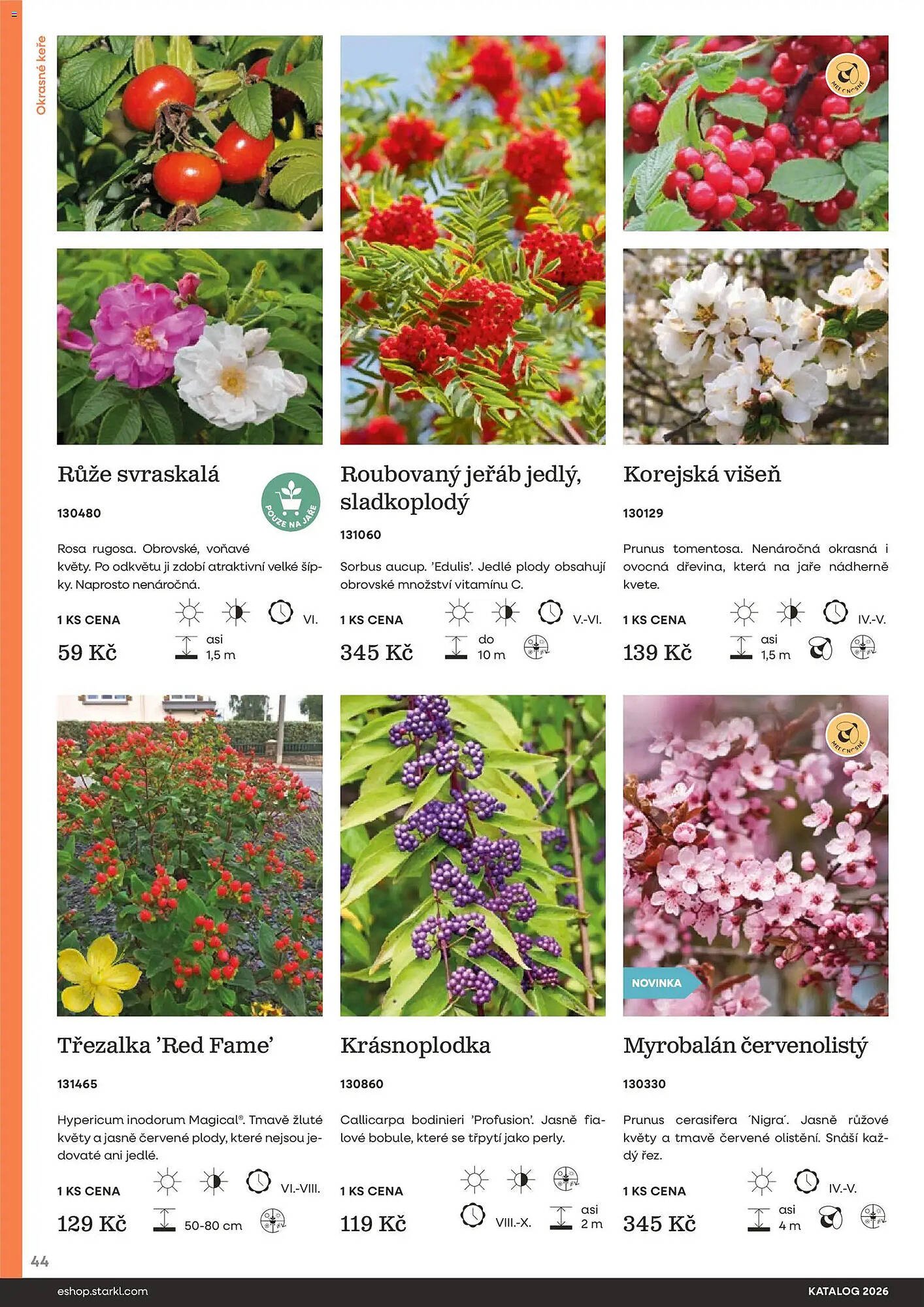 Starkl katalog (2026-02-25 - 2026-12-31)