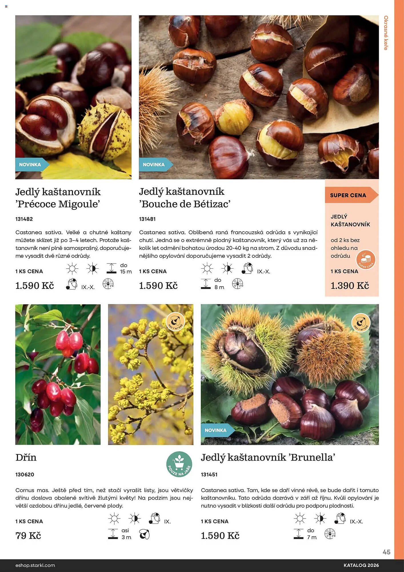 Starkl katalog (2026-02-25 - 2026-12-31)