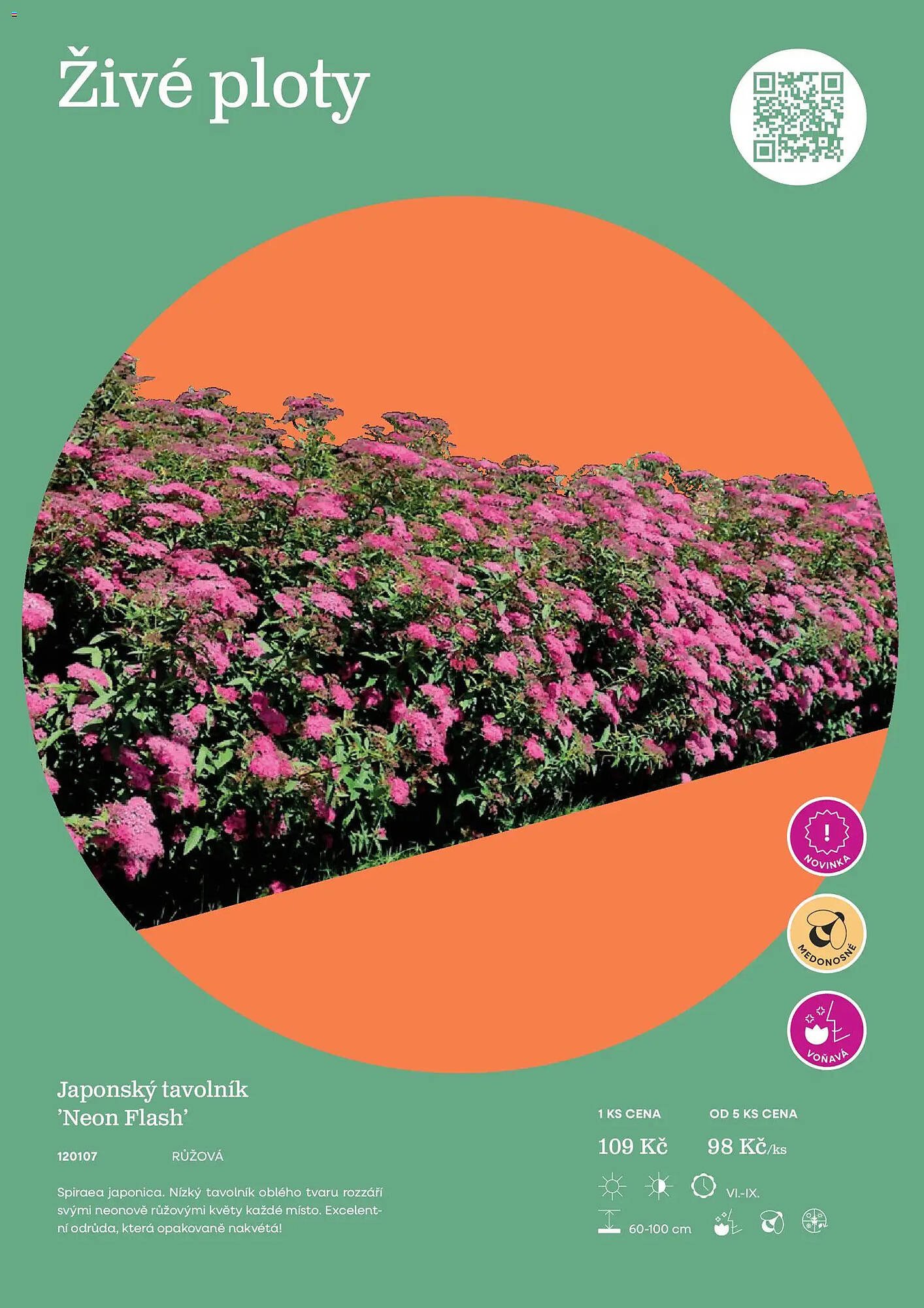 Starkl katalog (2026-02-25 - 2026-12-31)