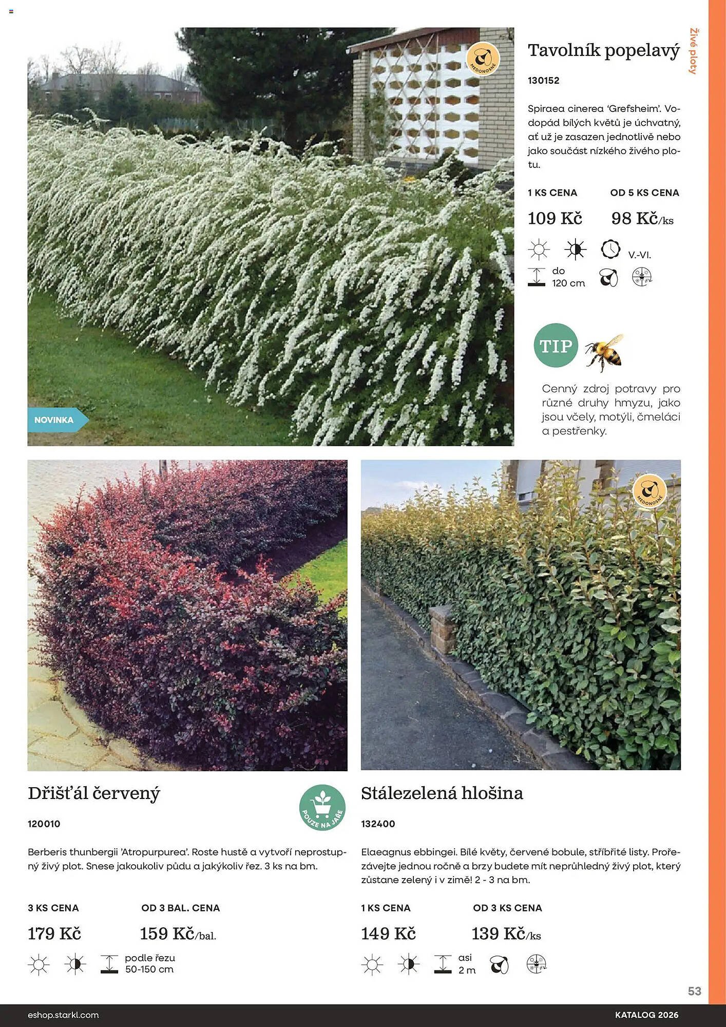 Starkl katalog (2026-02-25 - 2026-12-31)