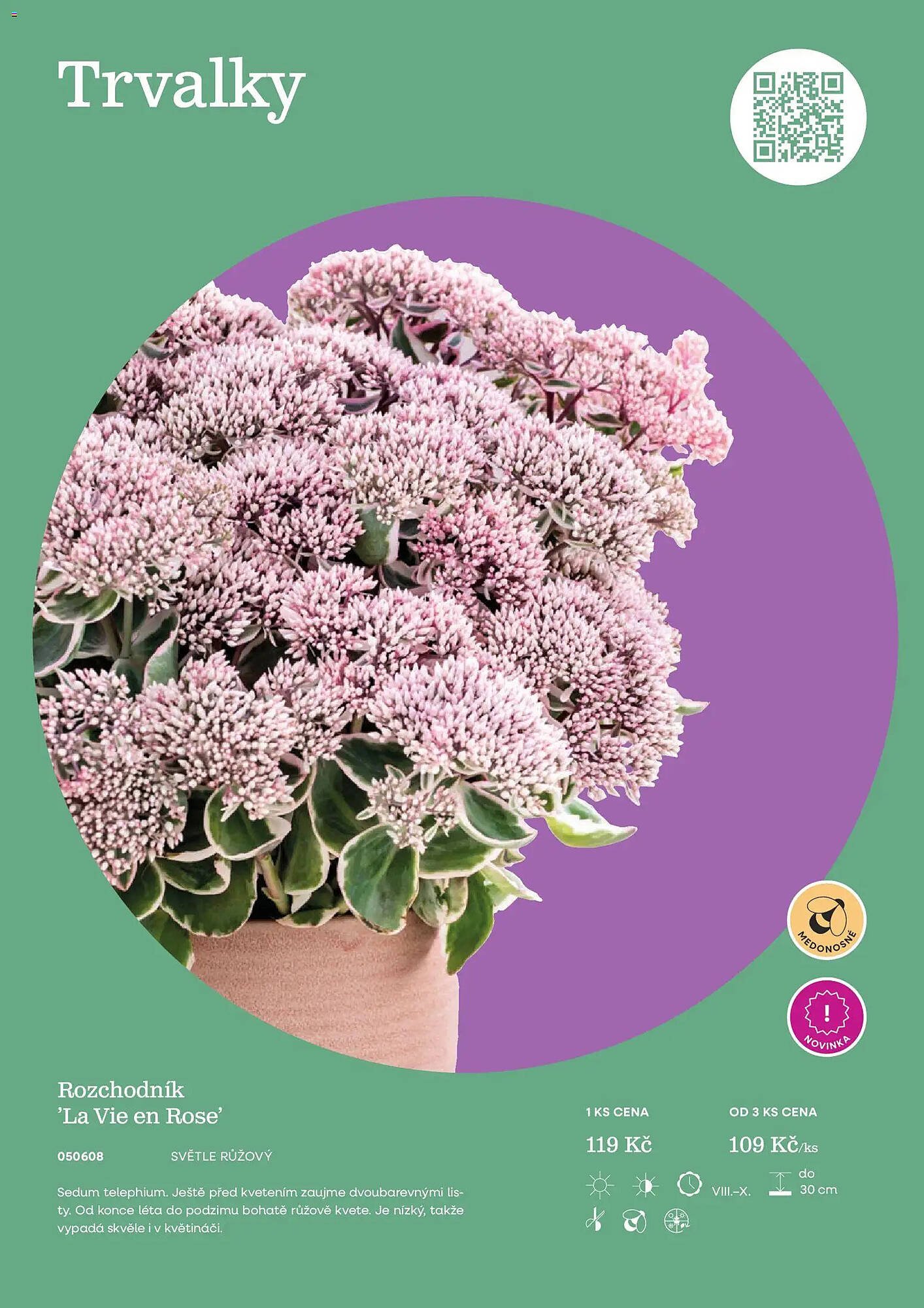 Starkl katalog (2026-02-25 - 2026-12-31)