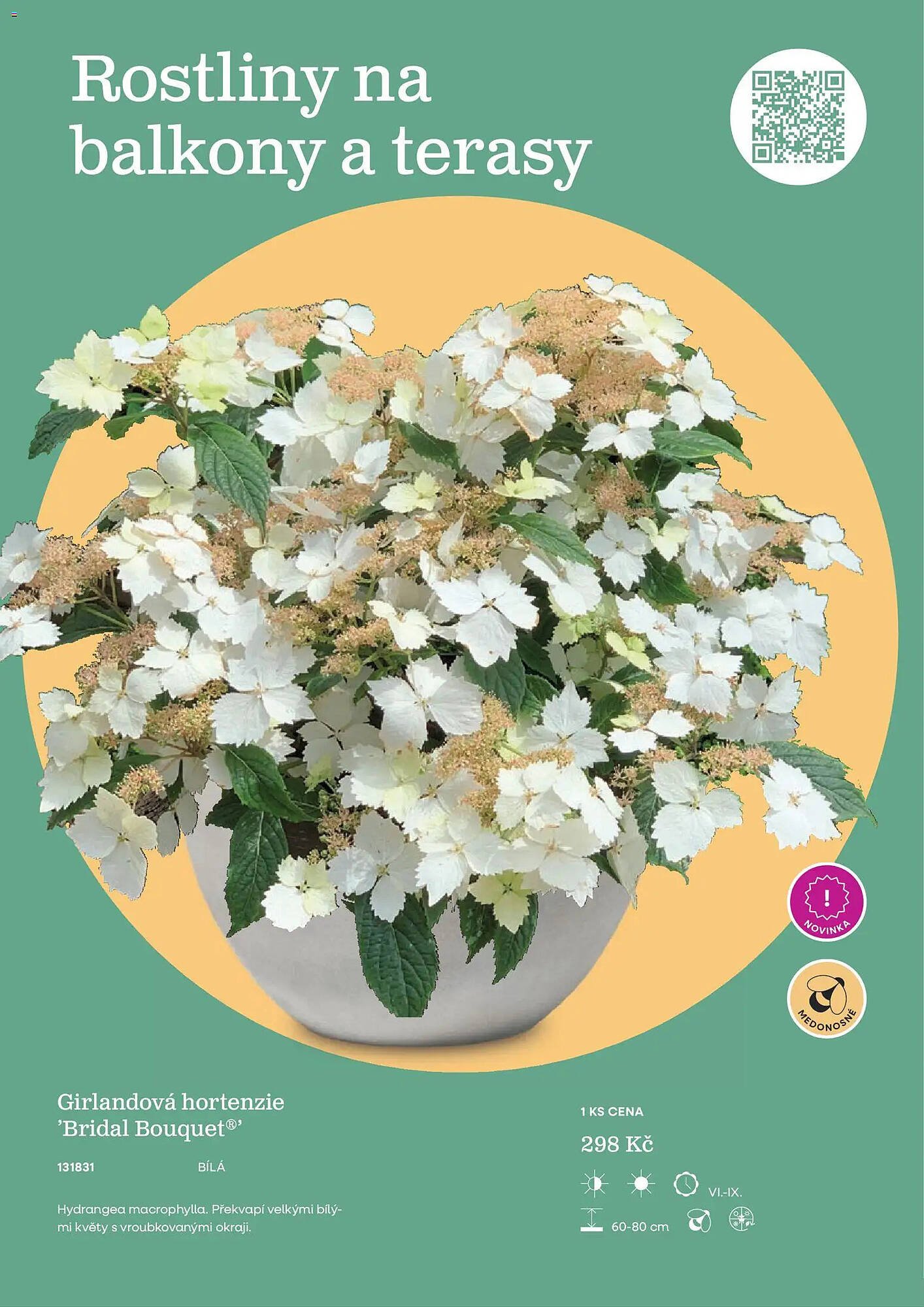 Starkl katalog (2026-02-25 - 2026-12-31)