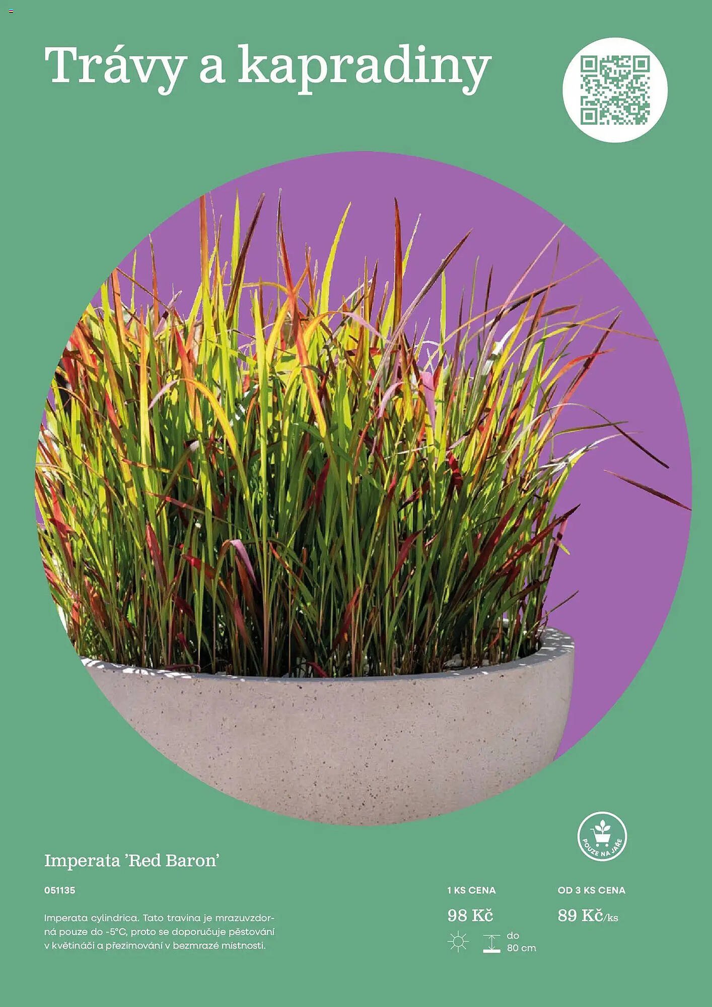 Starkl katalog (2026-02-25 - 2026-12-31)