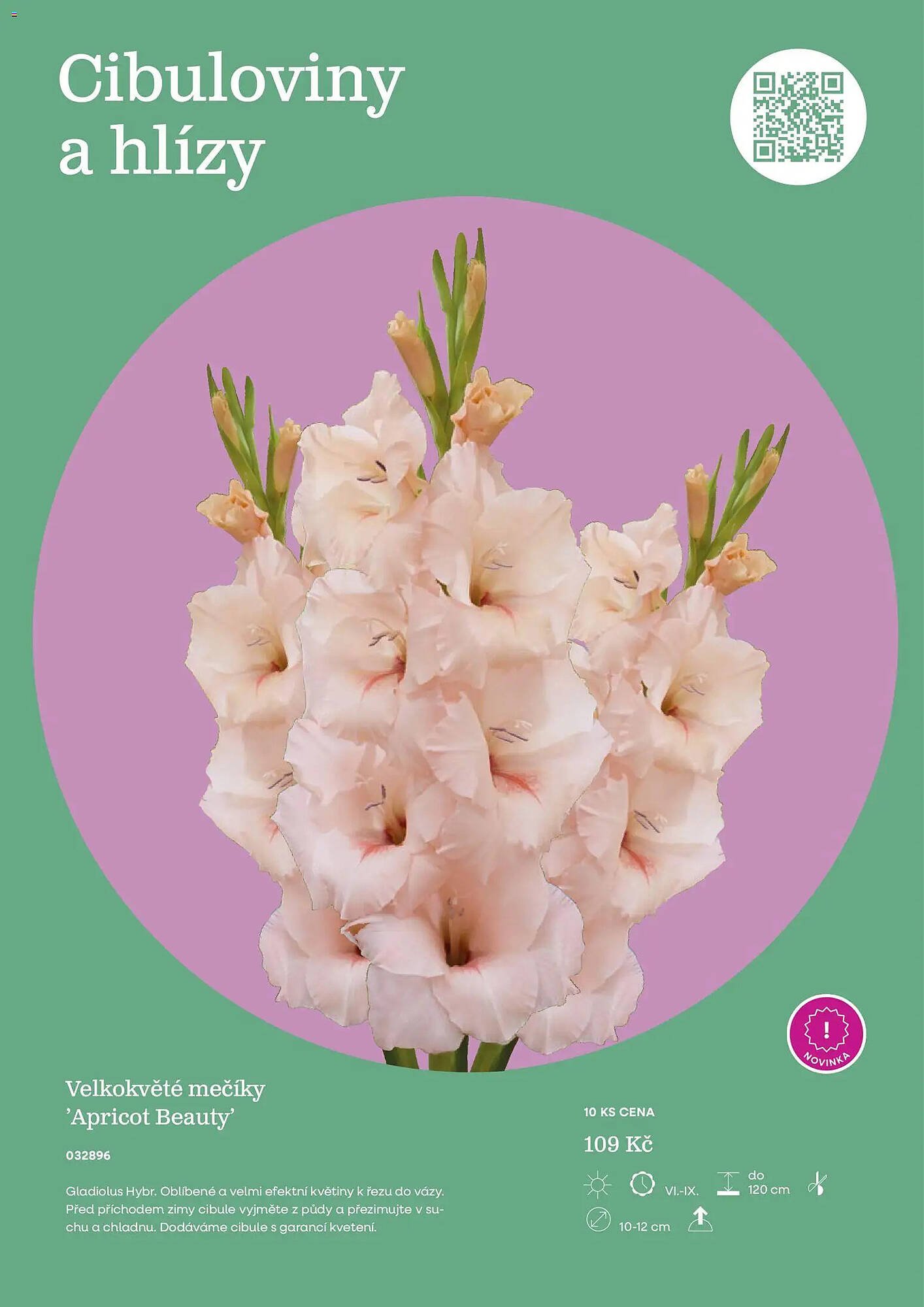 Starkl katalog (2026-02-25 - 2026-12-31)