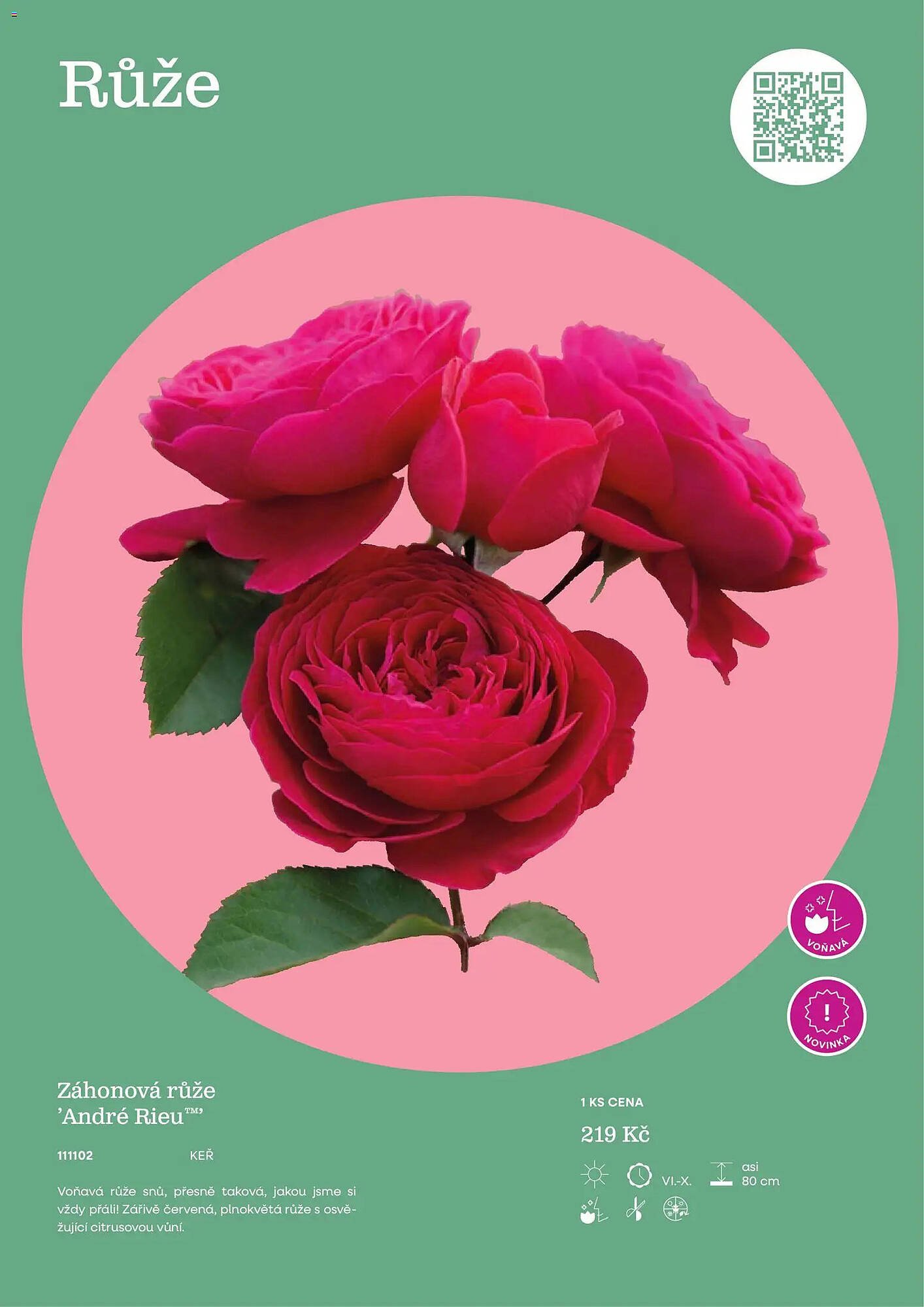 Starkl katalog (2026-02-25 - 2026-12-31)