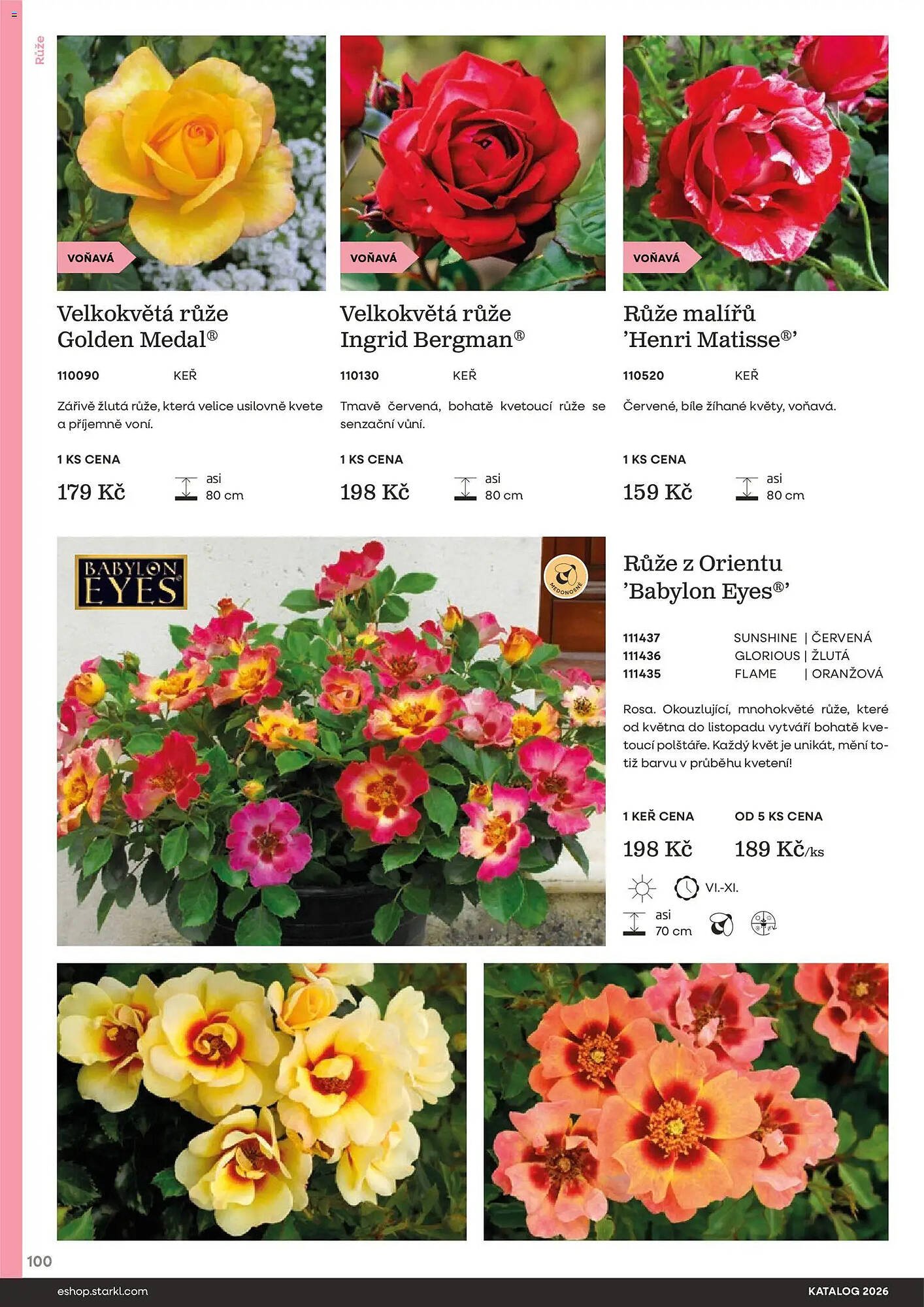 Starkl katalog (2026-02-25 - 2026-12-31)