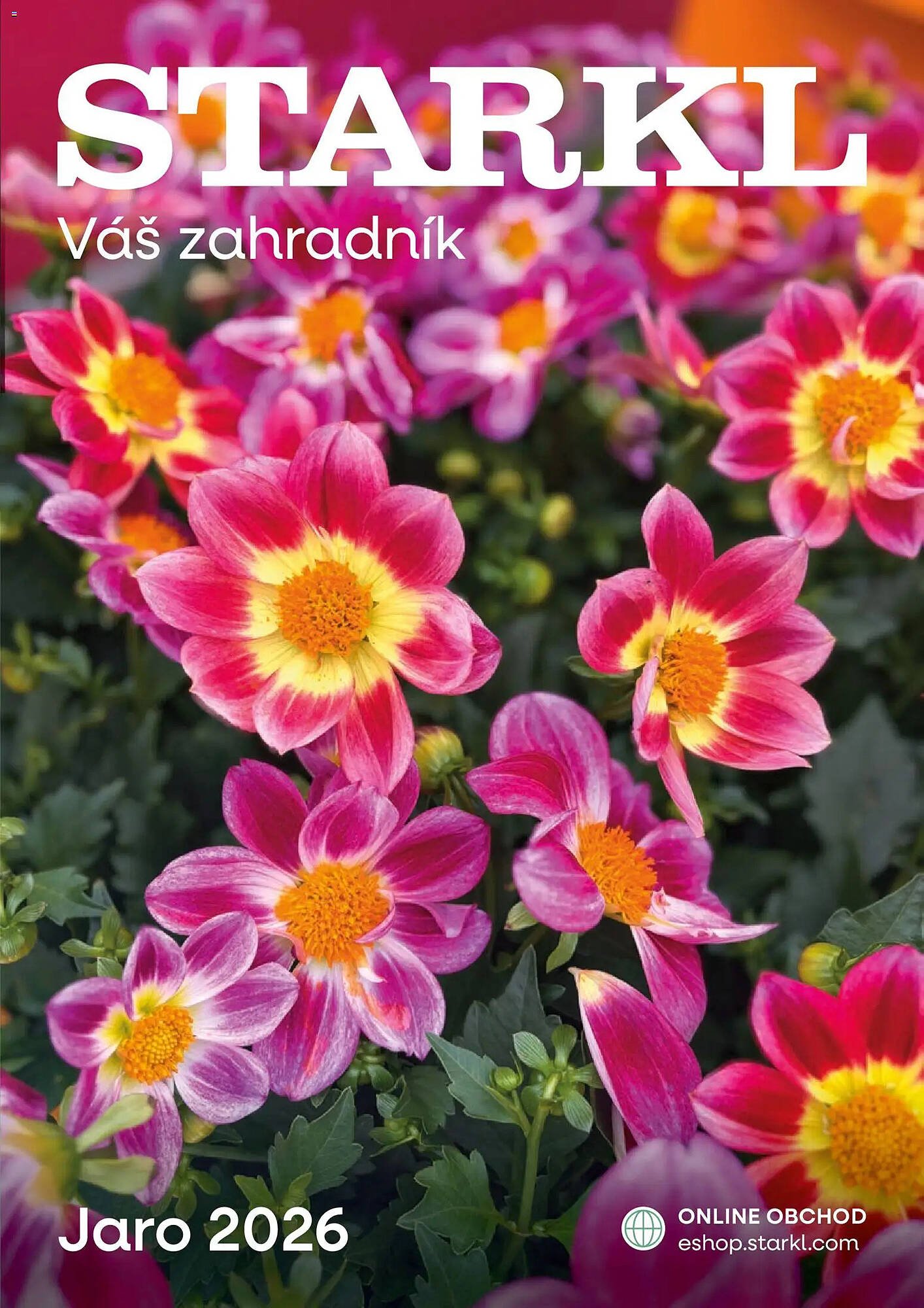 Starkl katalog (2026-02-25 - 2026-05-31)