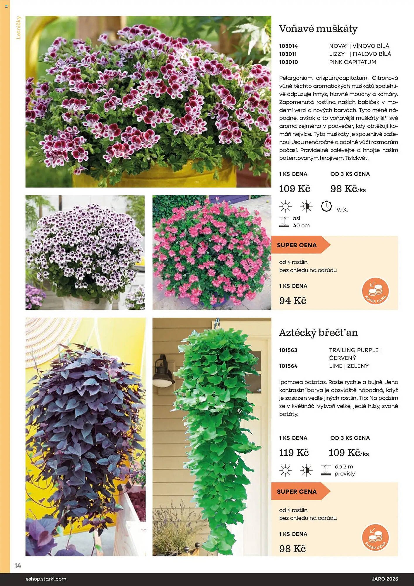 Starkl katalog (2026-02-25 - 2026-05-31)