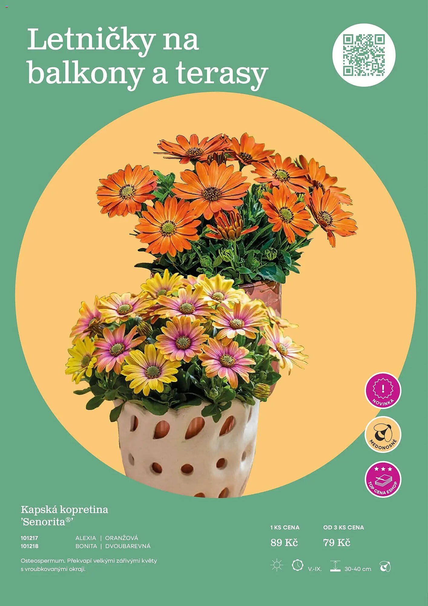 Starkl katalog (2026-02-25 - 2026-05-31)