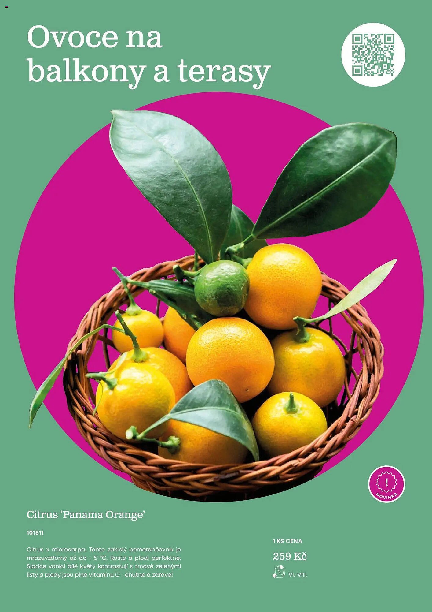 Starkl katalog (2026-02-25 - 2026-05-31)