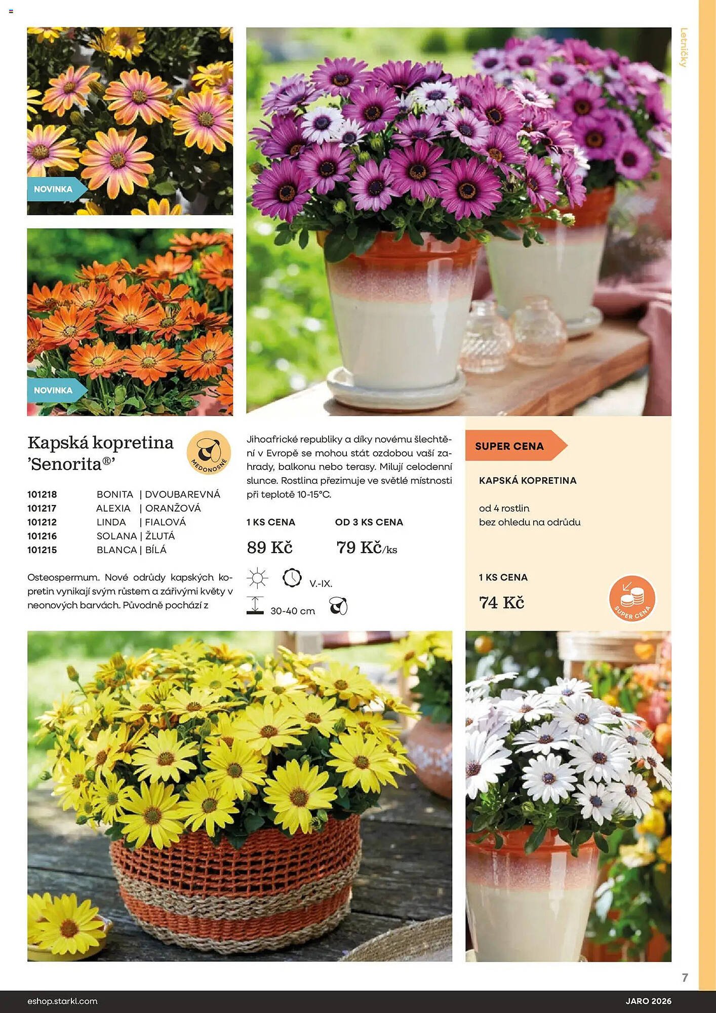 Starkl katalog (2026-02-25 - 2026-05-31)