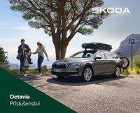 Škoda leták (2026-03-17 - 2026-06-02)