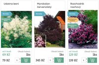 Starkl katalog (2026-02-05 - 2026-02-18)