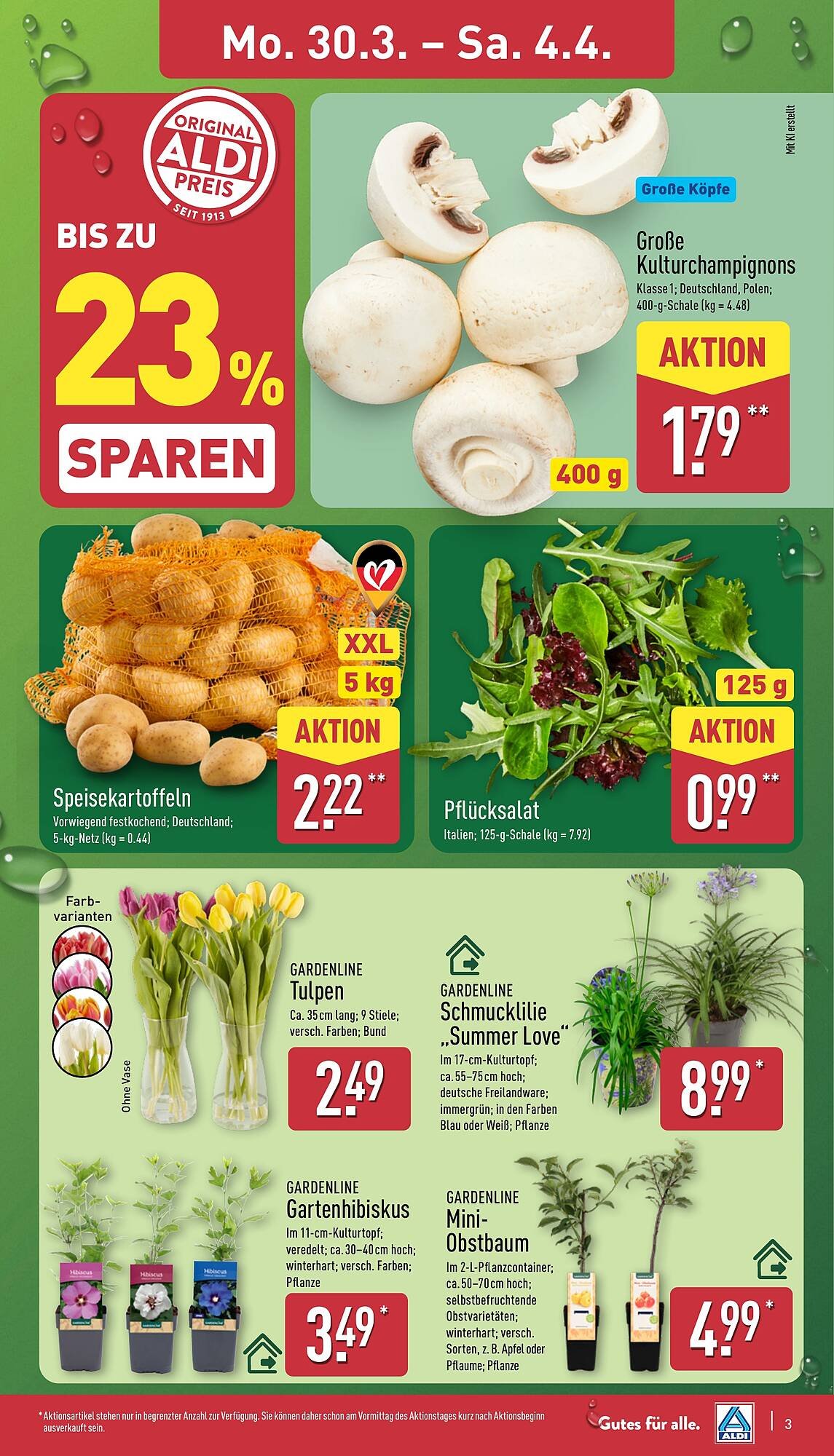 Aldi Nord Prospekt (2026-03-30 - 2026-04-04)