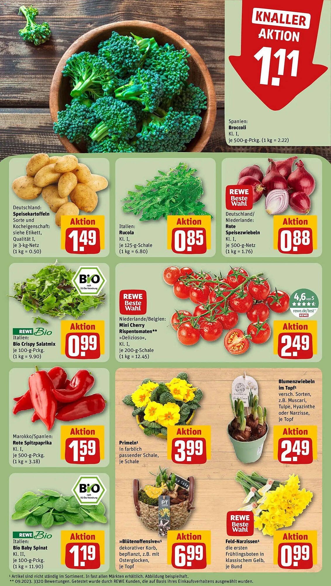 REWE Kaufpark Prospekt (2026-01-26 - 2026-02-01)