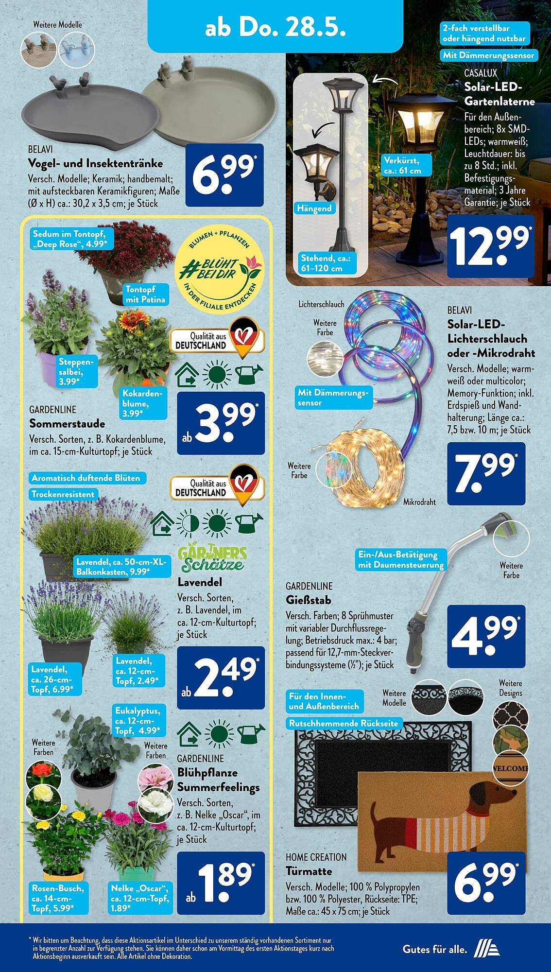 Aldi Süd Prospekt (2026-05-26 - 2026-05-31)