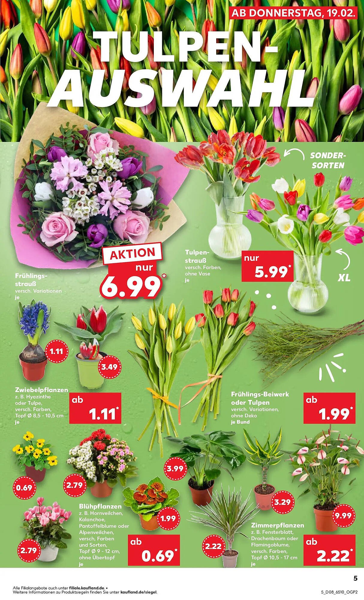 Kaufland Prospekt (2026-02-18 - 2026-02-25)