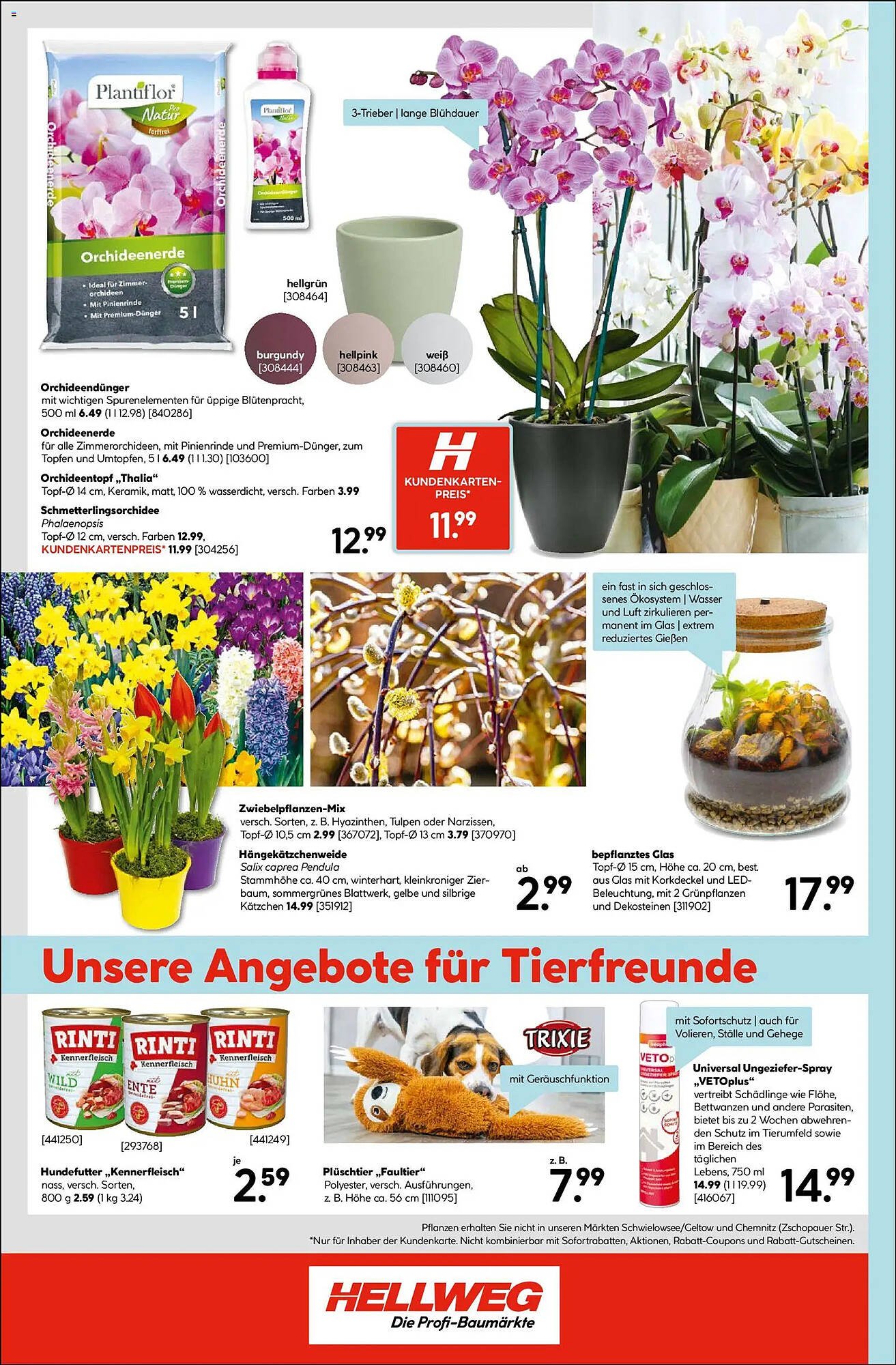 Hellweg Prospekt (2026-01-19 - 2026-01-24)