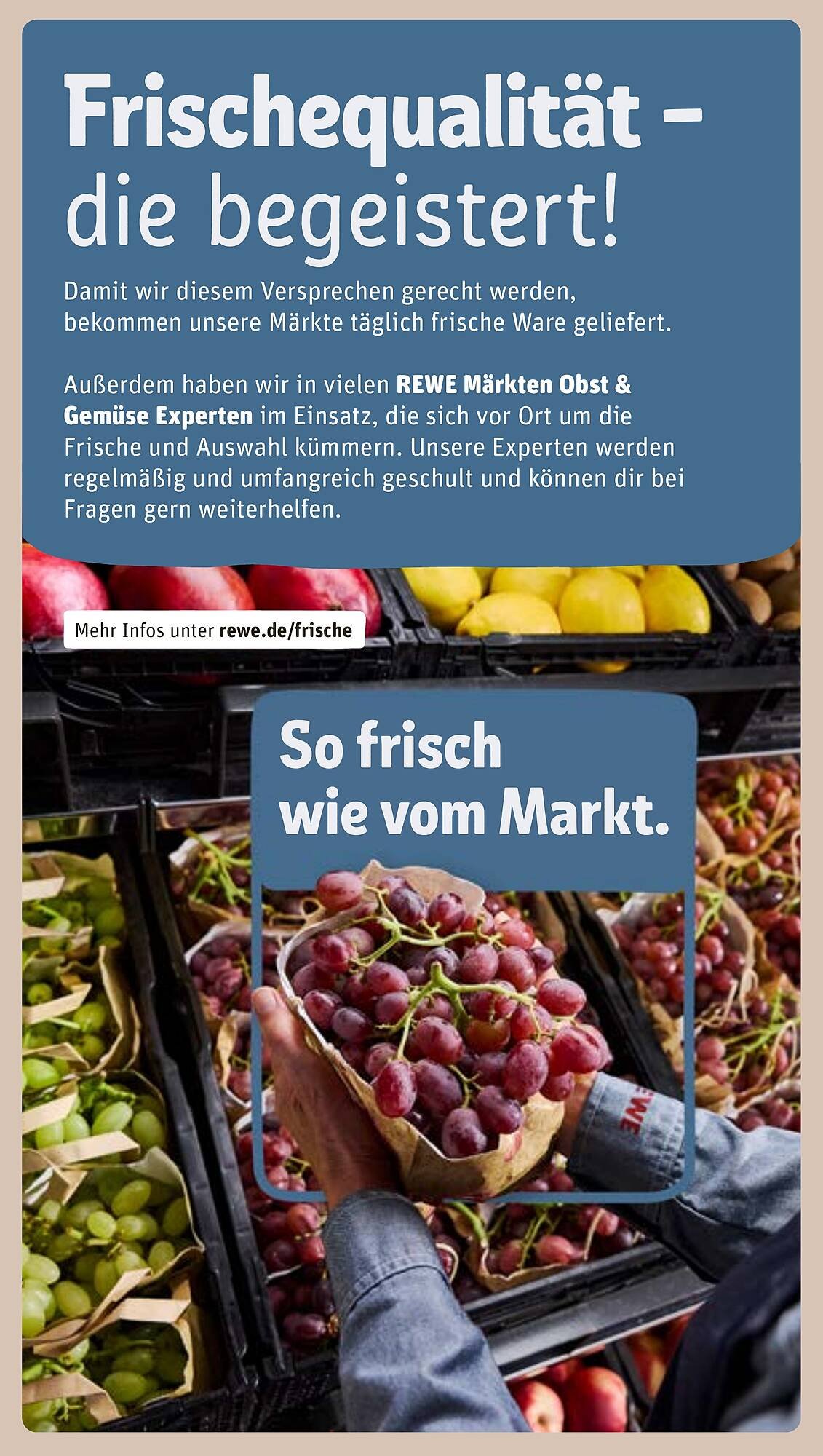 REWE Prospekt (2025-09-15 - 2025-09-21) | 29