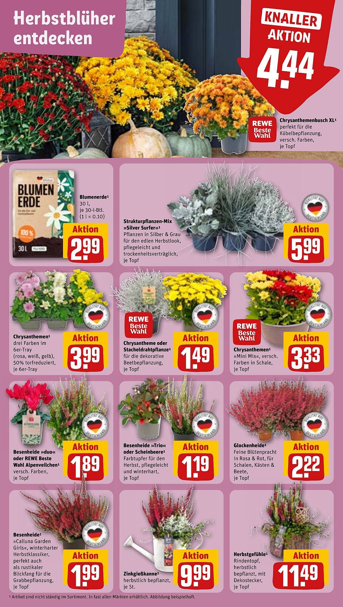 REWE Prospekt (2025-09-15 - 2025-09-21) | 5