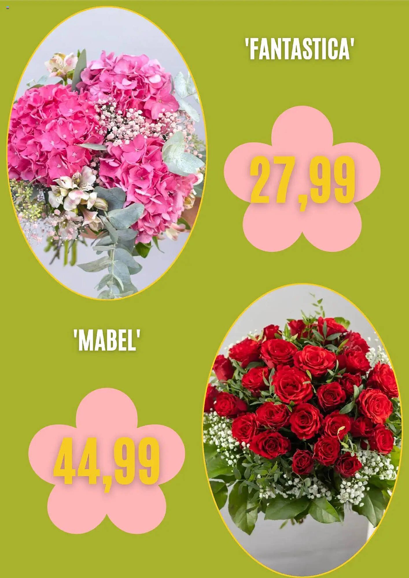 Blumen Risse Prospekt (2025-08-01 - 2025-08-30) | 5