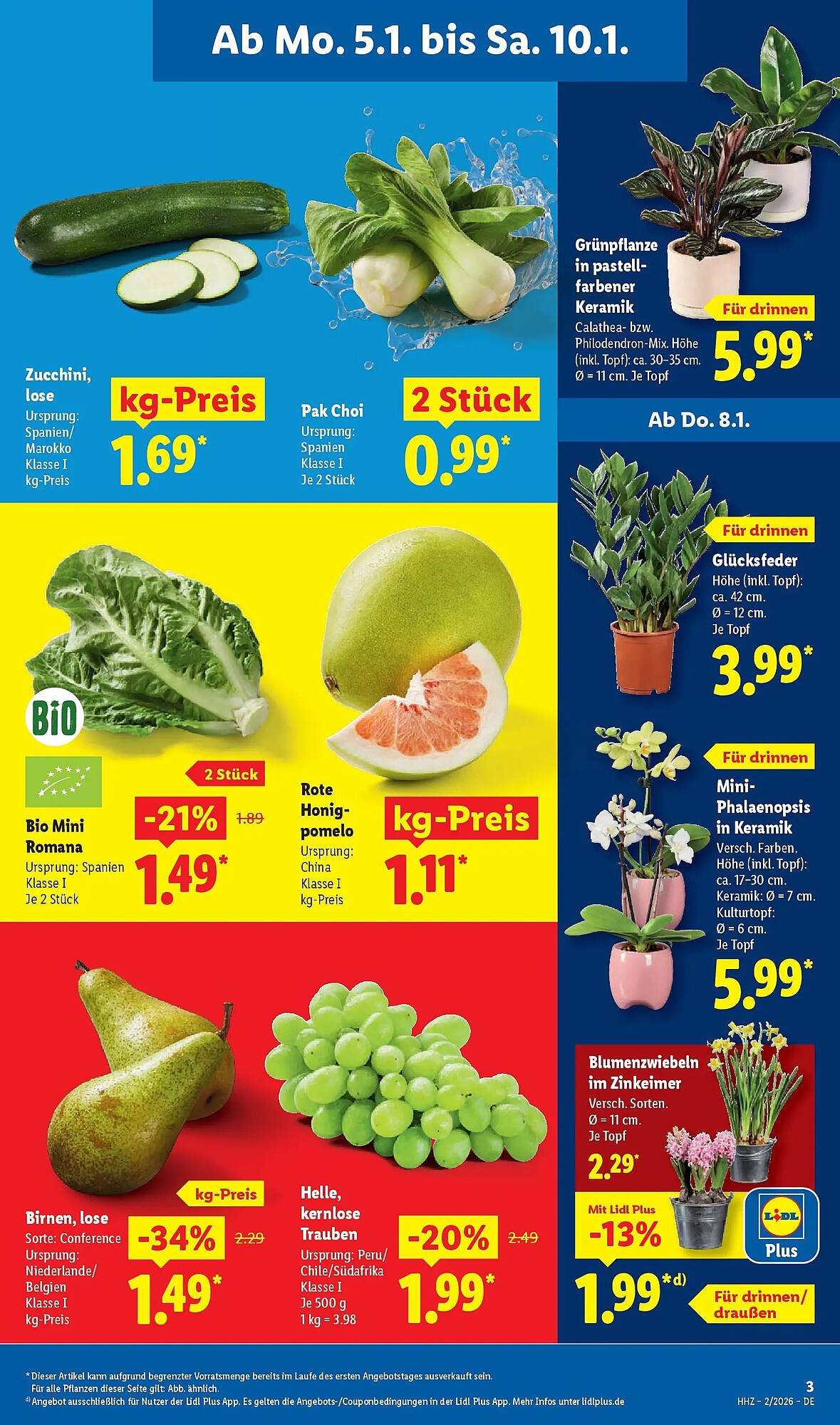 Lidl Prospekt (2026-01-04 - 2026-01-10)