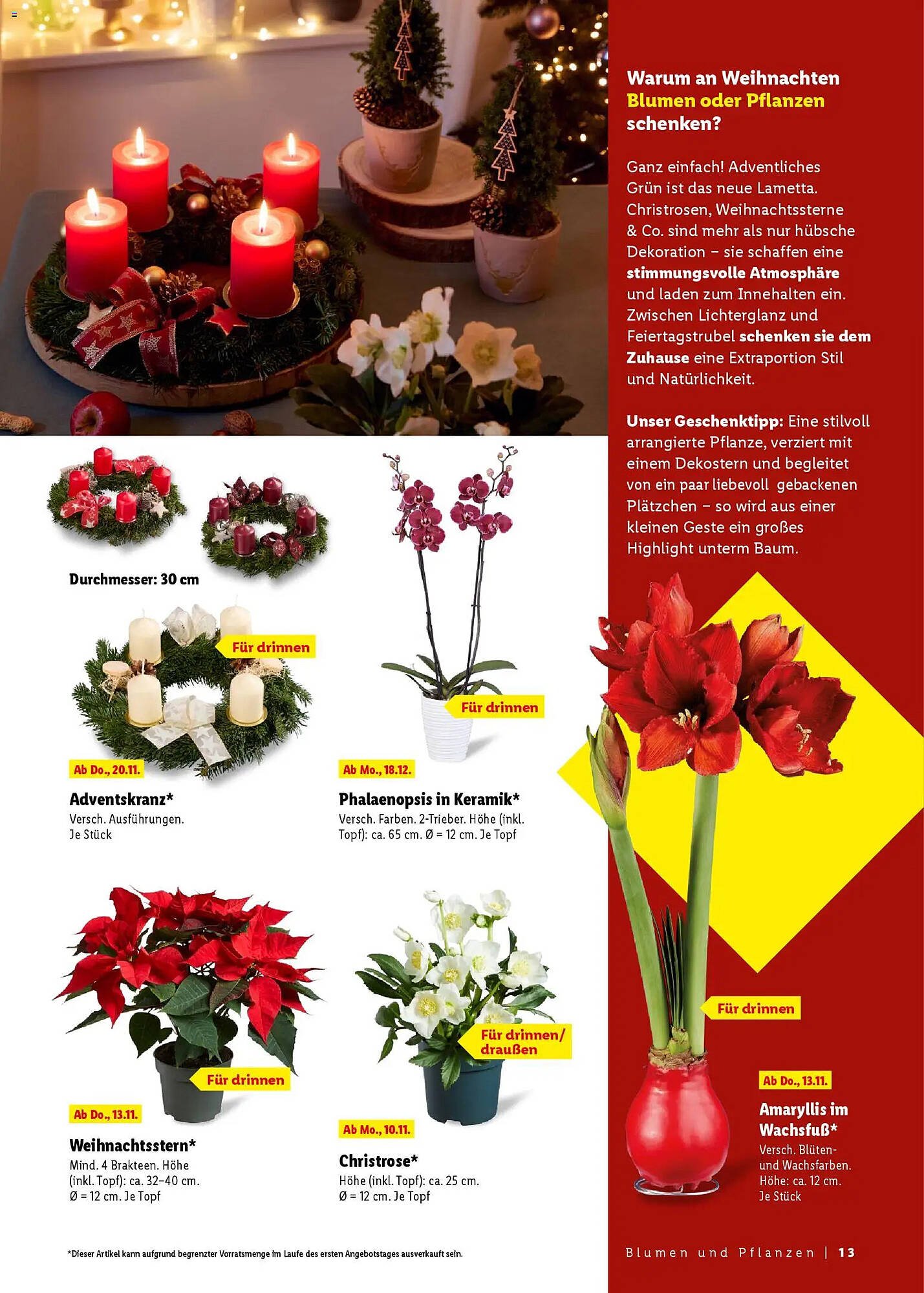 Lidl Geschenkemagazin (2025-10-31 - 2025-12-27)