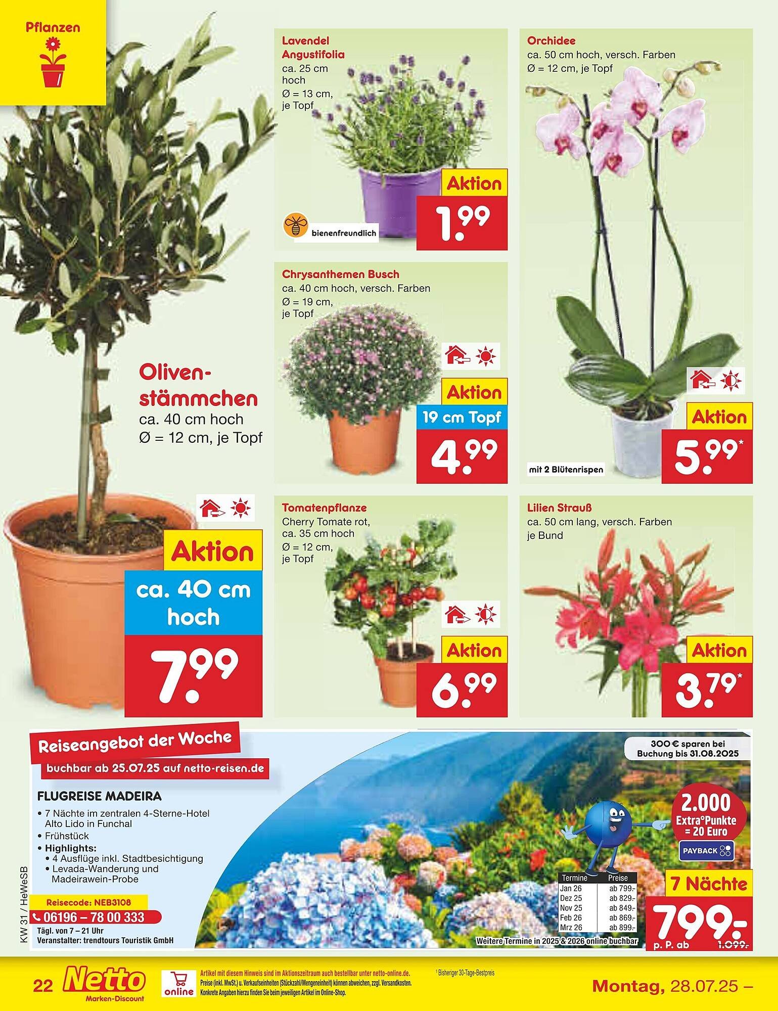 Netto Marken-Discount Prospekt (2025-07-28 - 2025-08-02) | 40