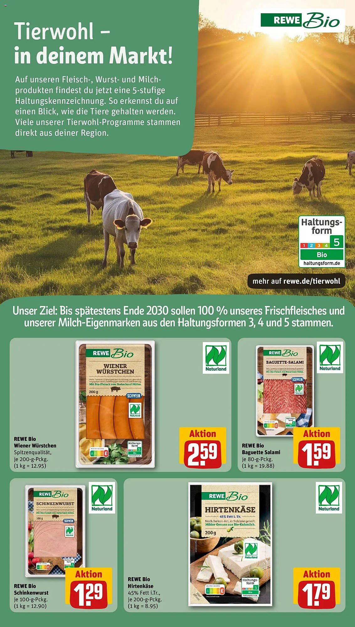 REWE Kaufpark Prospekt