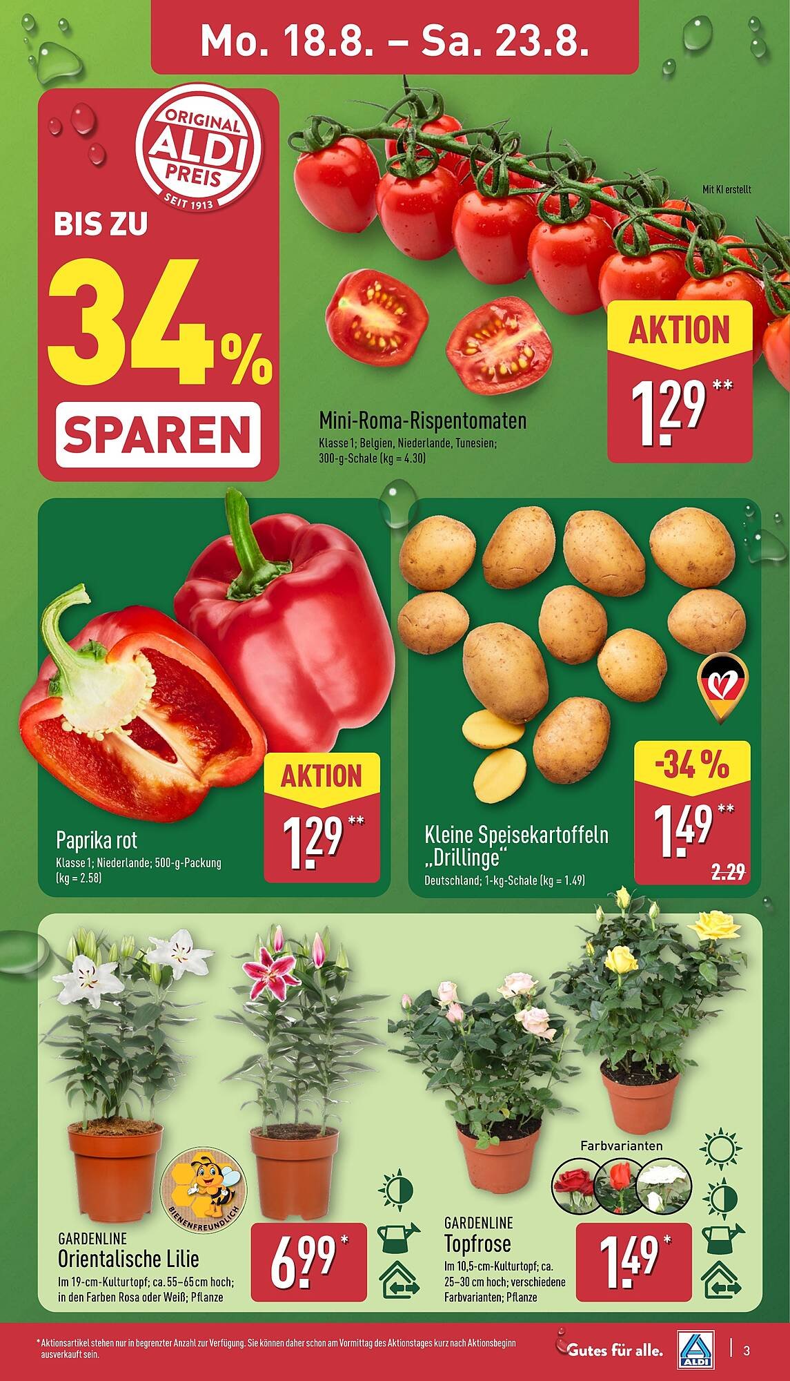 Aldi Nord Prospekt (2025-08-18 - 2025-08-23) | 3