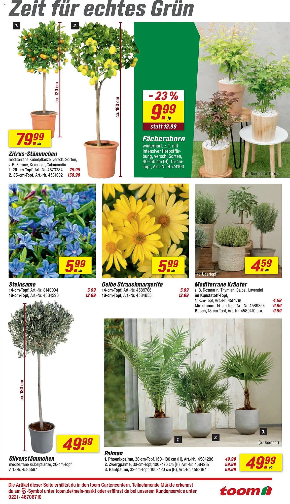 Toom Baumarkt Prospekt