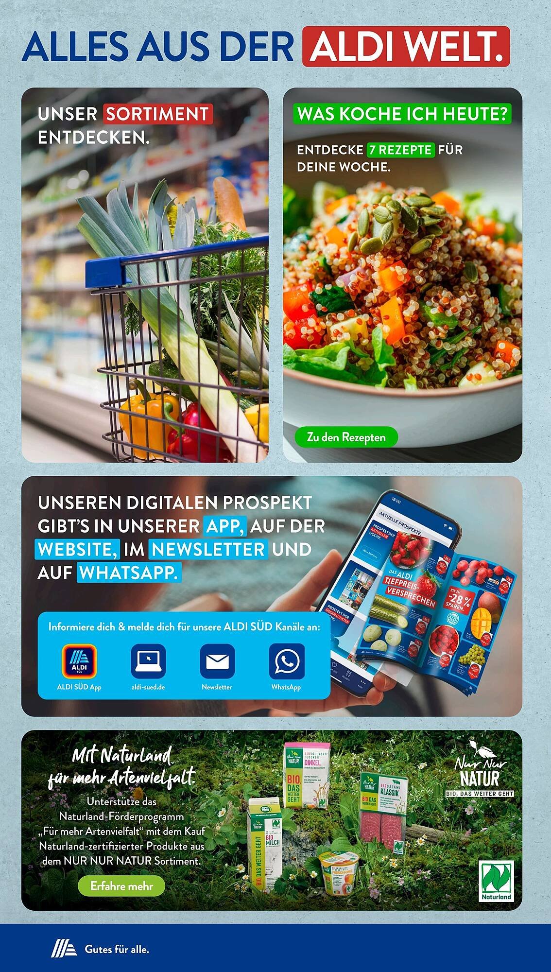 Aldi Süd Prospekt (2025-11-10 - 2025-11-16)