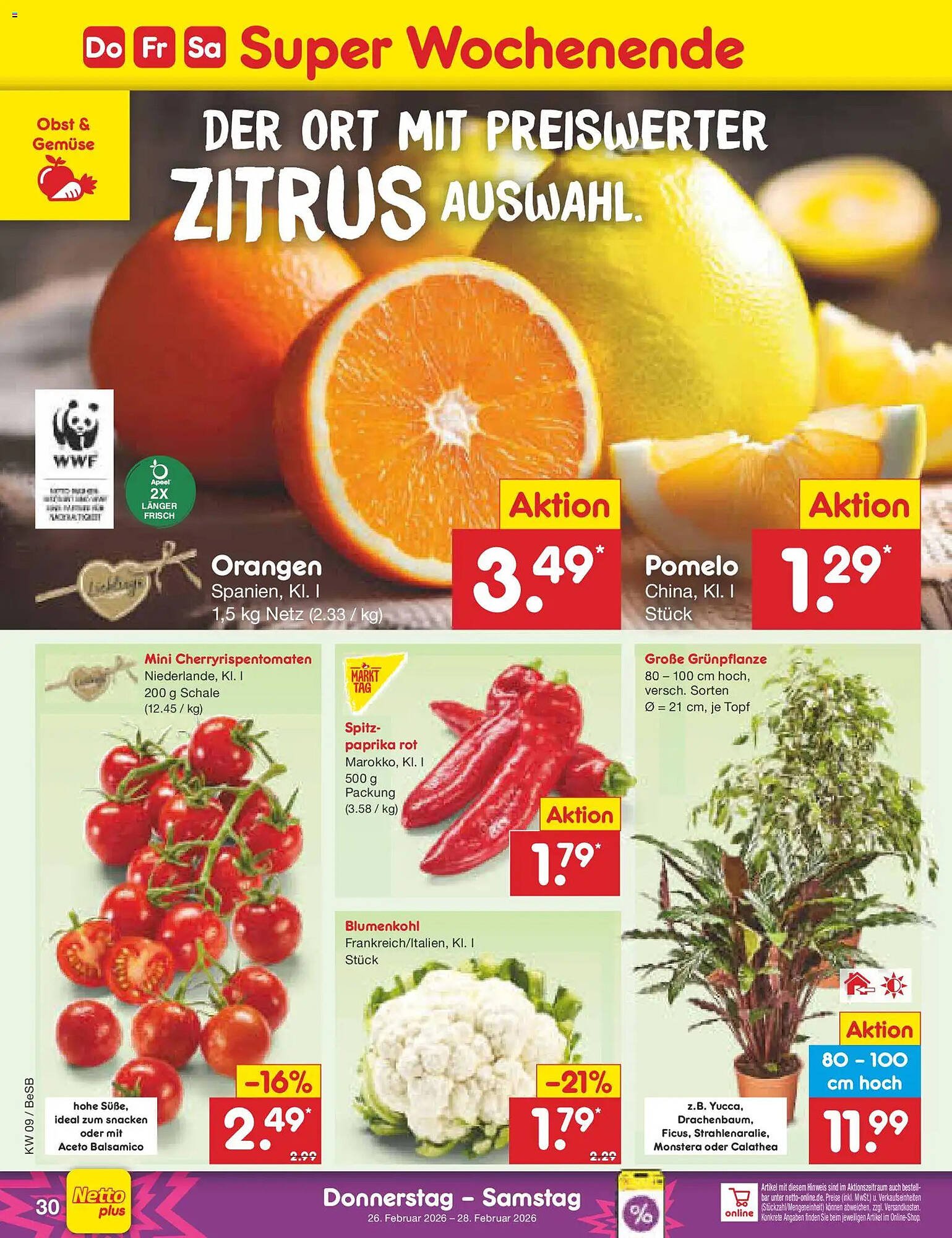 Netto Marken-Discount Prospekt (2026-02-23 - 2026-02-28)