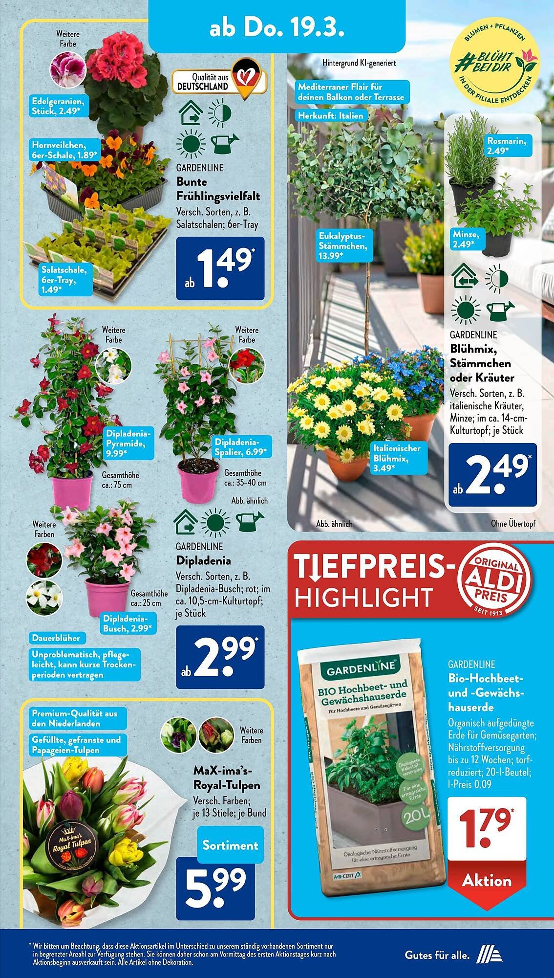 Aldi Süd Prospekt (2026-03-16 - 2026-03-22)