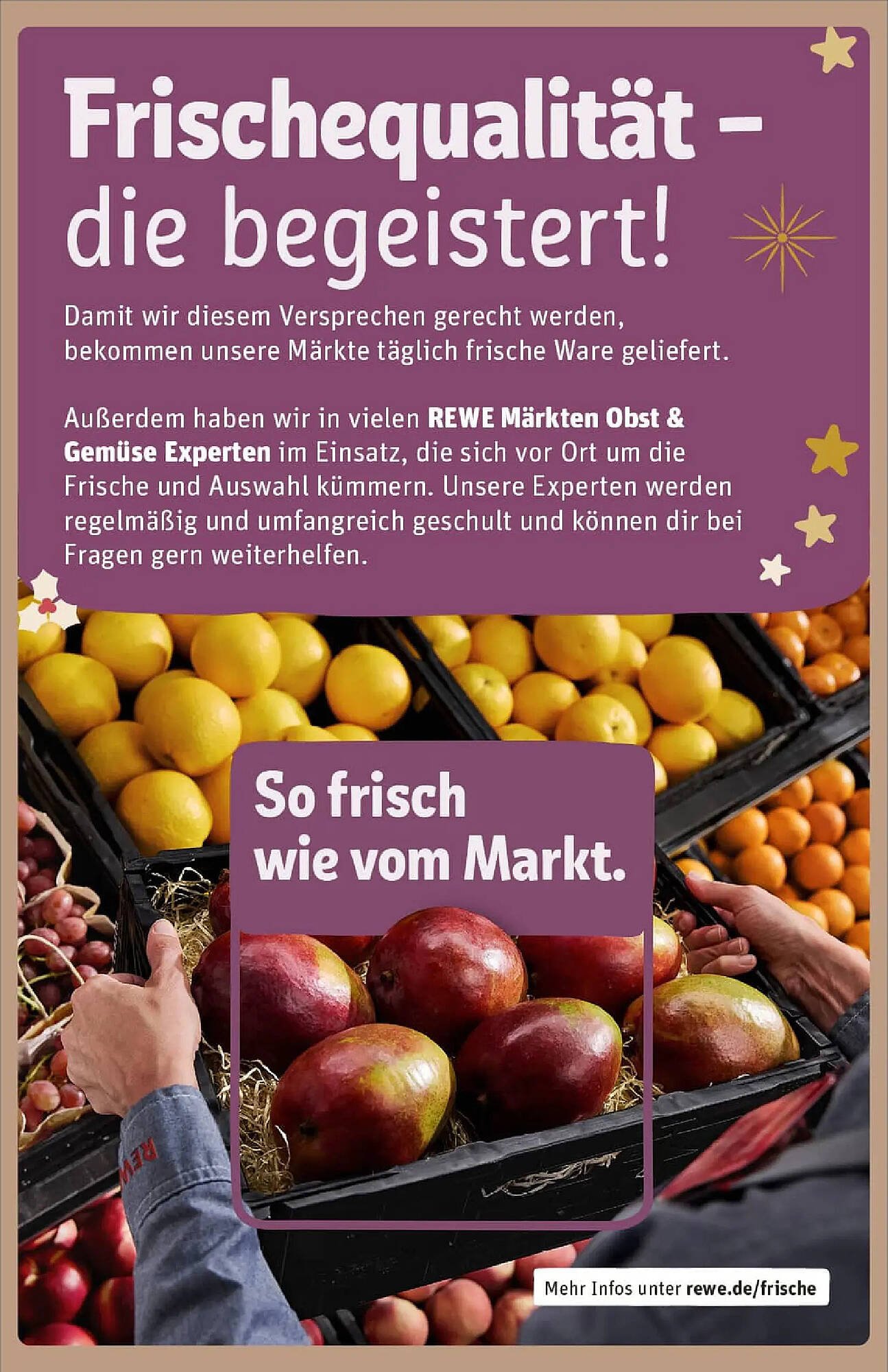 REWE Prospekt (2025-12-14 - 2025-12-21)