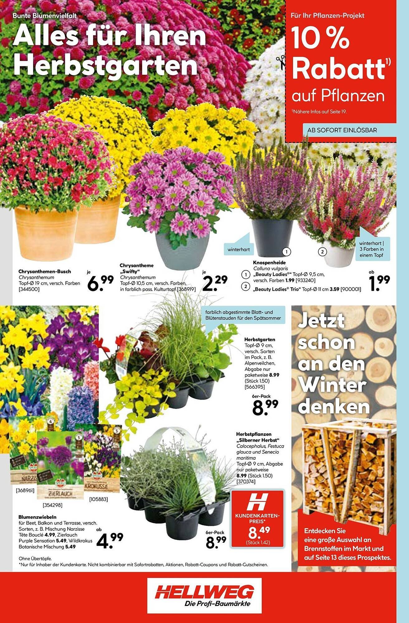 Hellweg Prospekt (2025-09-08 - 2025-09-23) | 22