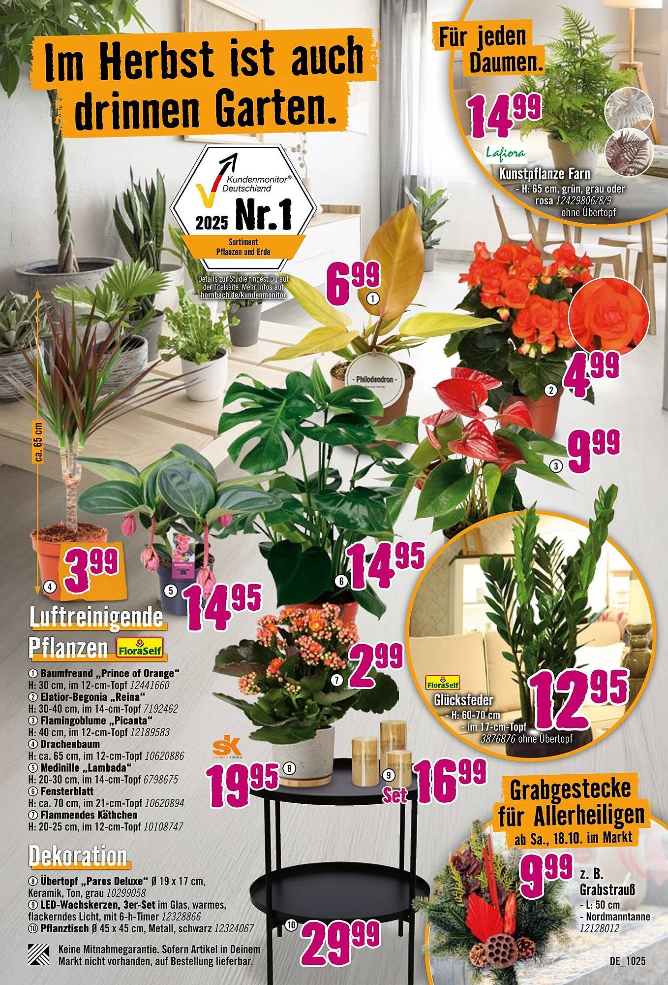 Hornbach Prospekt (2025-10-01 - 2025-10-29) | 27