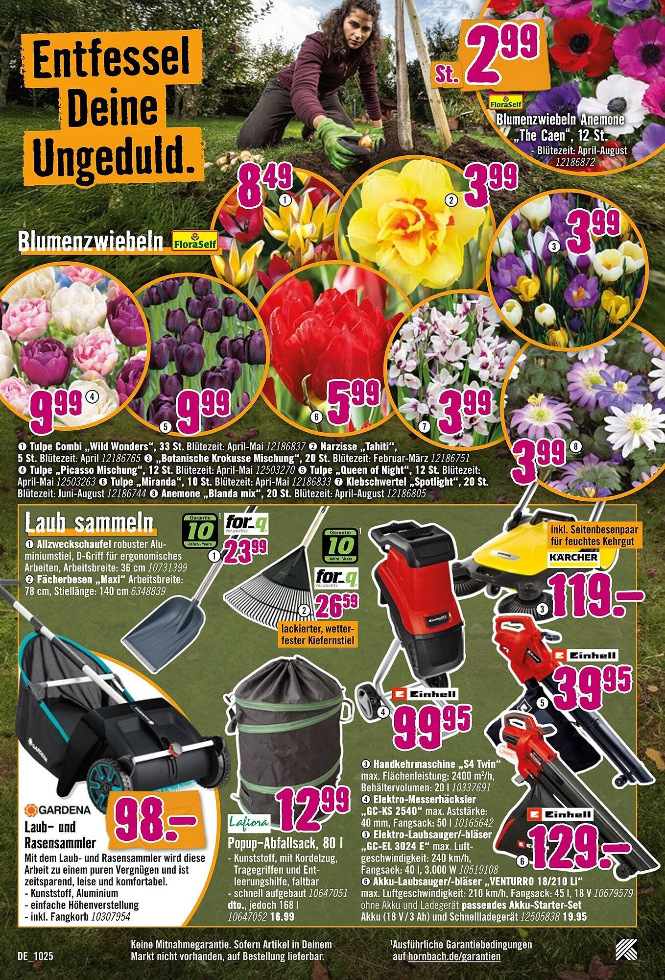 Hornbach Prospekt (2025-10-01 - 2025-10-29) | 28