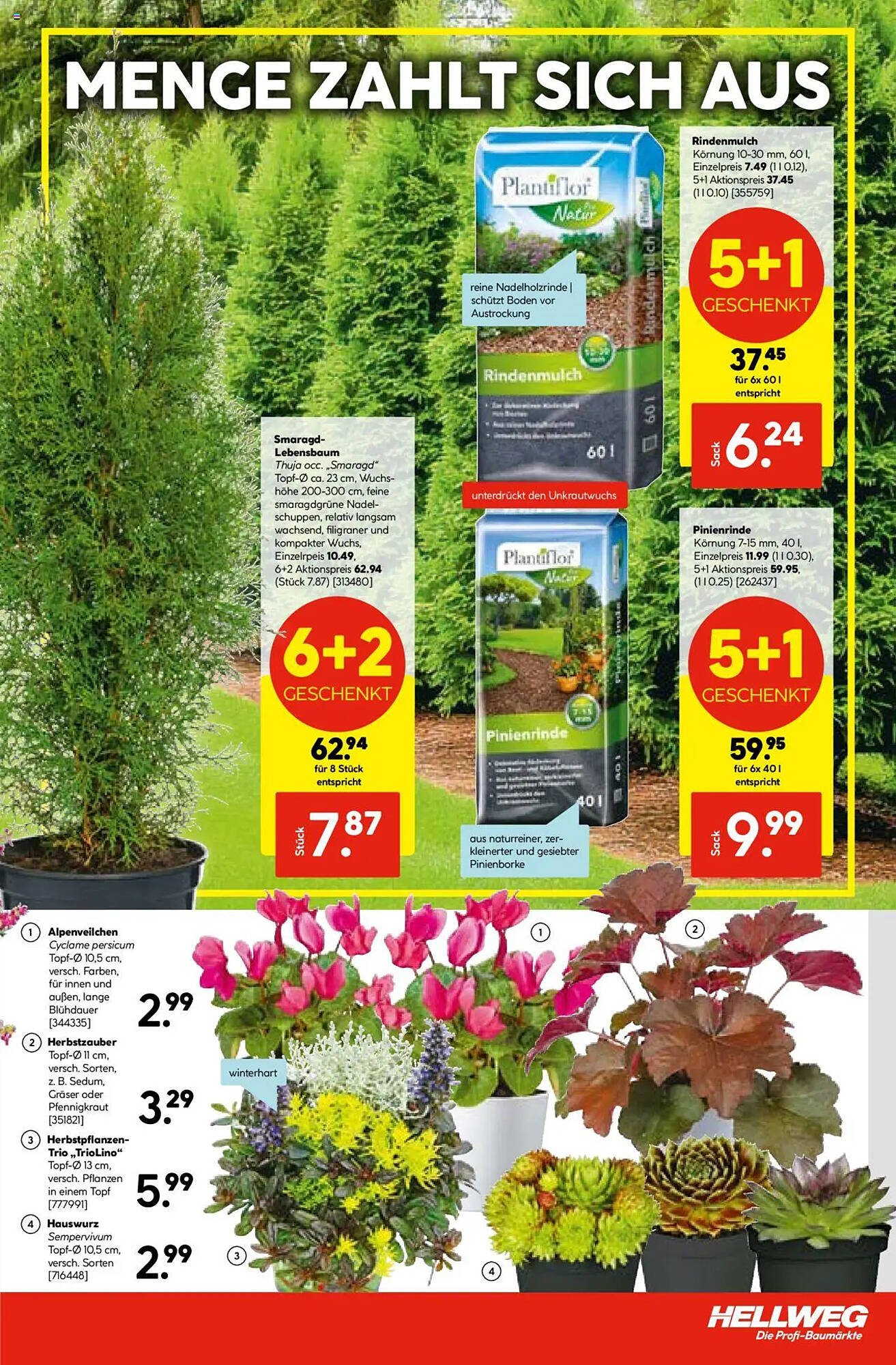 Hellweg Prospekt (2025-08-04 - 2025-08-09) | 3