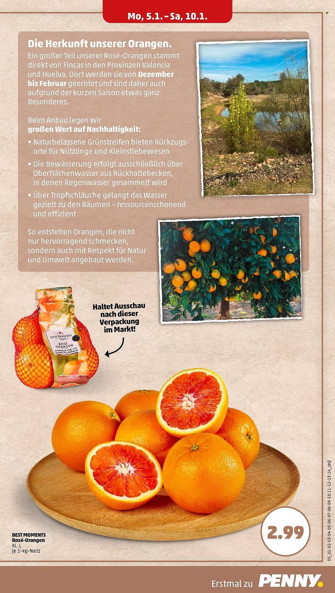 PENNY Prospekt (2026-01-05 - 2026-01-10)