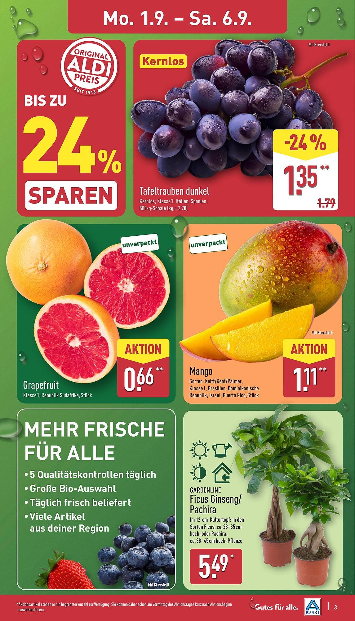 Aldi Nord Prospekt (2025-09-01 - 2025-09-06) | 3
