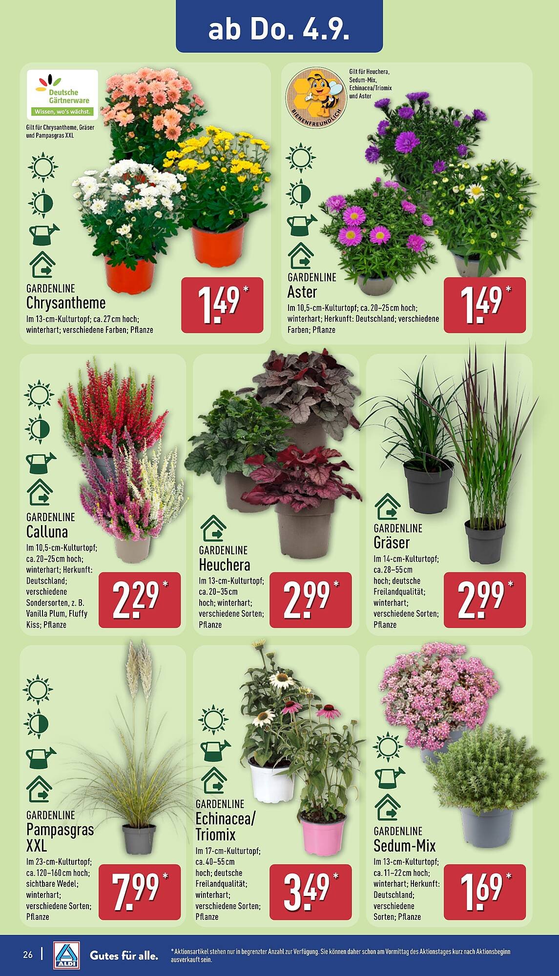 Aldi Nord Prospekt (2025-09-01 - 2025-09-06) | 26