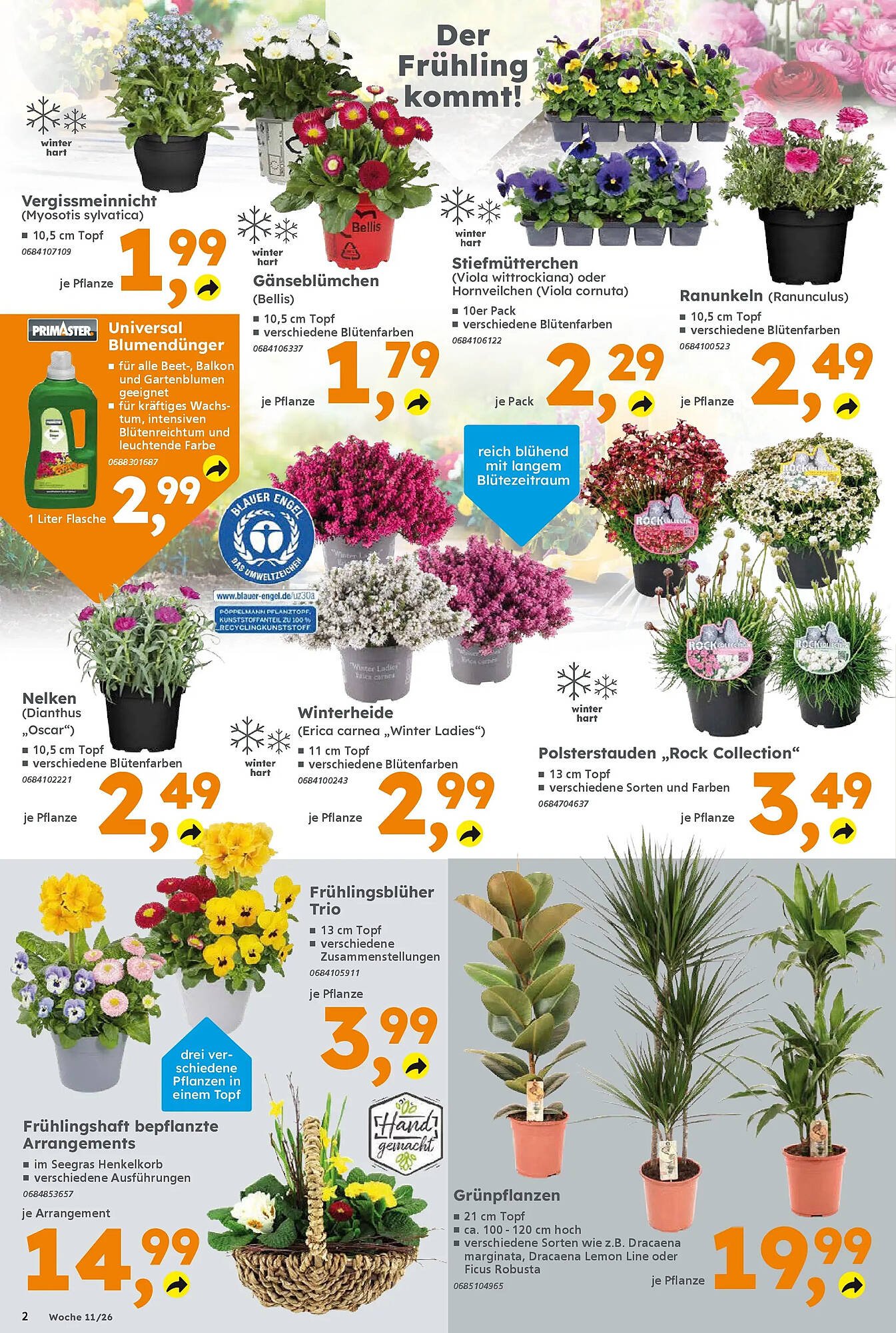 Globus Baumarkt Prospekt (2026-03-08 - 2026-03-14)