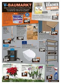 V Baumarkt Prospekt (2025-12-18 - 2025-12-24)