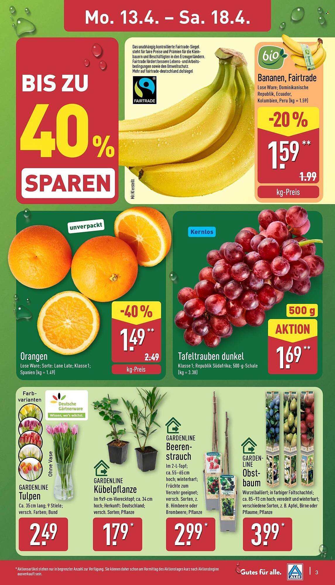 Aldi Nord Prospekt (2026-04-13 - 2026-04-18)
