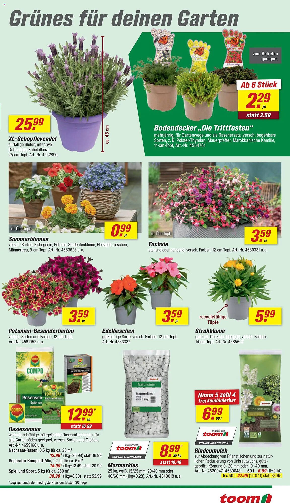 Toom Baumarkt Prospekt