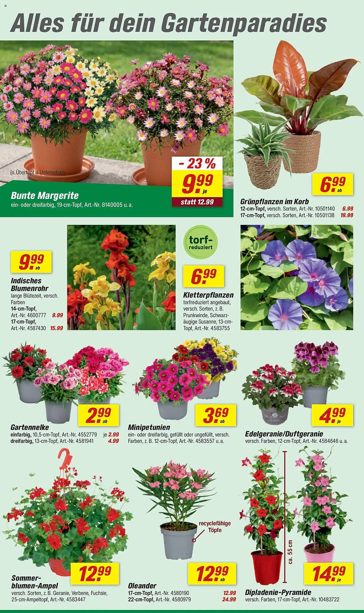 Toom Baumarkt Prospekt